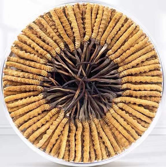 青湖路街道冬虫夏草回收